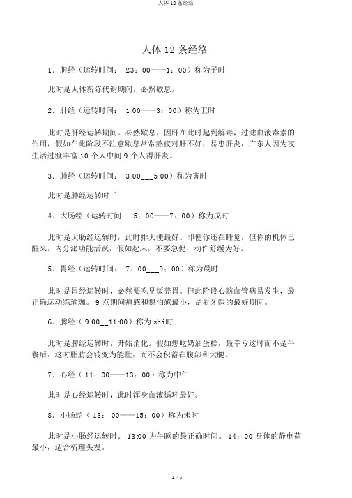 人体12条经络