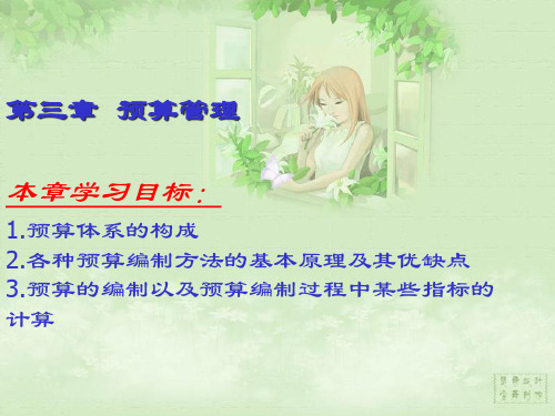 预算管理的主要内容