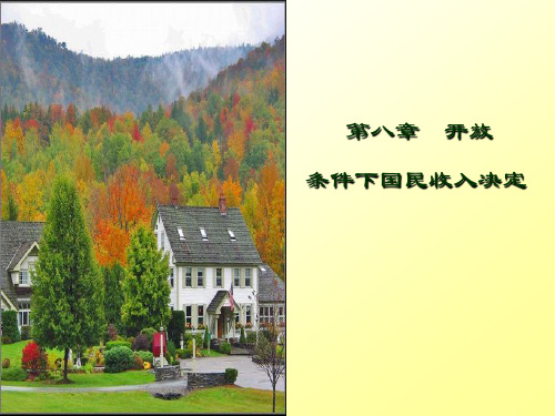 第八章 开放经济.ppt