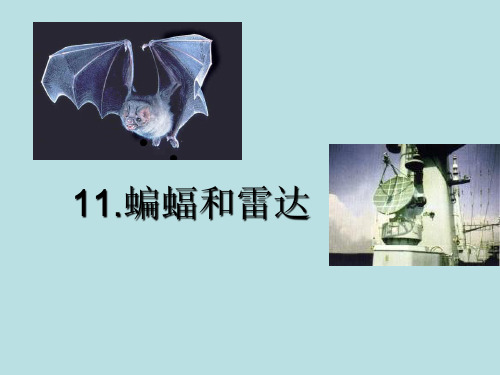 四年级语文下册__第十一课__蝙蝠和雷达PPT