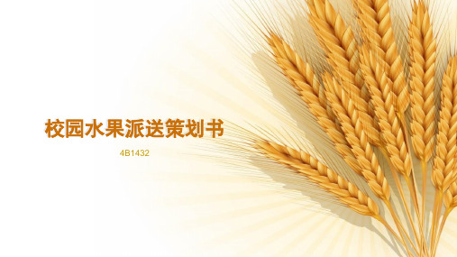 校园水果派送策划案