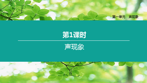 中考物理复习方案 第一单元 声现象 第01课时 声现象物理课件