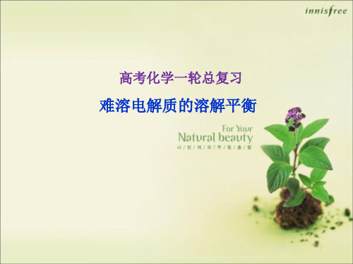 高考化学一轮复习：难溶电解质的溶解平衡
