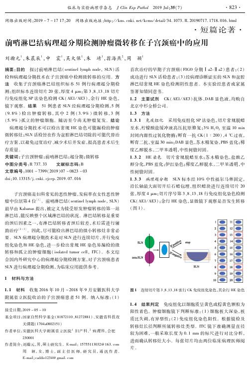 前哨淋巴结病理超分期检测肿瘤微转移在子宫颈癌中的应用