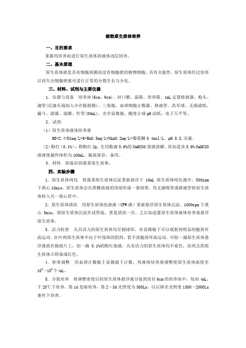 植物原生质体培养