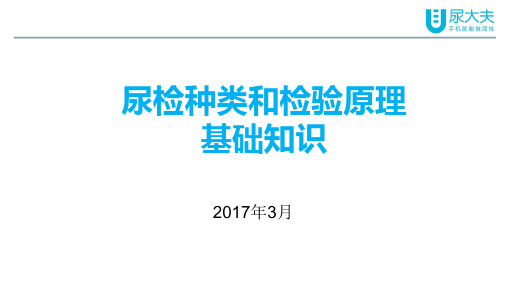 尿检基础知识