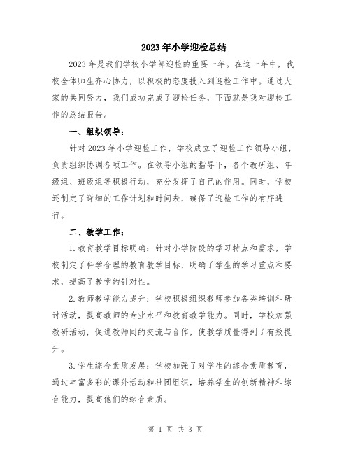 2023年小学迎检总结