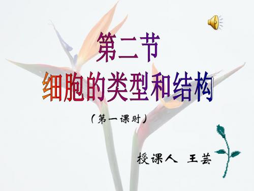高中生物细胞的类型和结构PPT11 苏教版