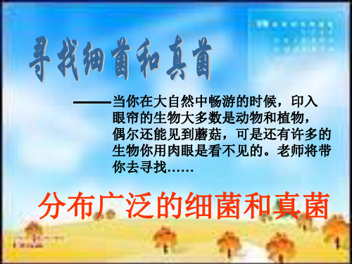 八年级生物分布广泛的细菌和真菌