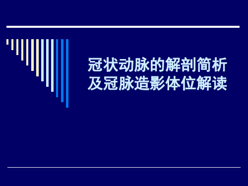 冠脉解剖简析及冠脉造影体位解读