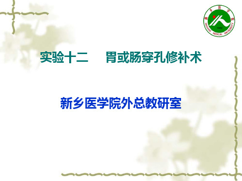 实验十二     胃或肠穿孔修补术