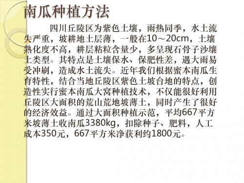 南瓜种植方法