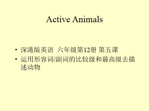 U5 Active animals(六年级英语精品课件)
