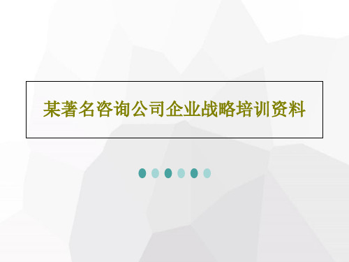 某著名咨询公司企业战略培训资料共31页
