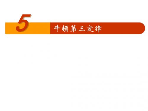 高一物理牛顿第三定律4