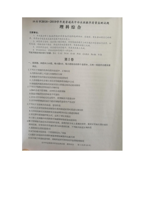 汕头市2019届高三期末理综试卷及答案