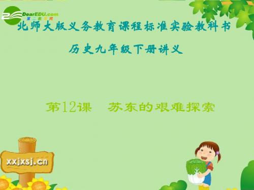 12《苏东的艰难探索》