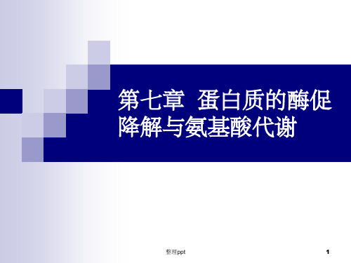《蛋白质的降解》PPT课件
