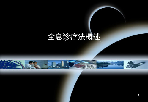 全息诊疗法概述ppt课件
