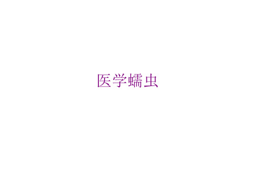 医学蠕虫