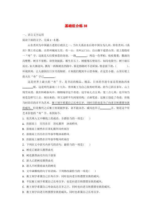全国通用2020版高考语文一轮复习加练半小时基础突破第五轮基础组合练38