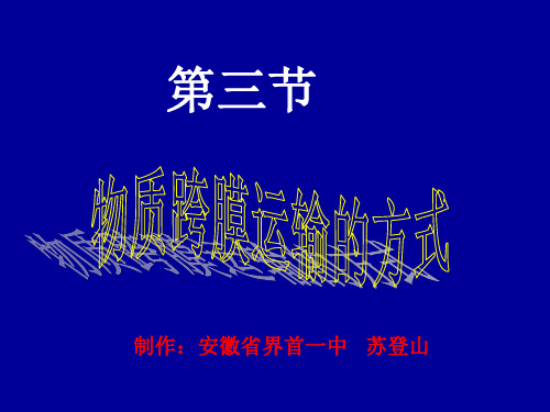 第三节物质跨膜运输的方式.ppt