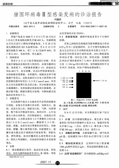 猪圆环病毒Ⅱ型感染发病的诊治报告