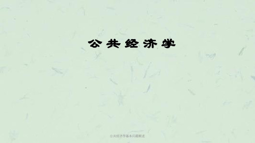 公共经济学基本问题概述课件
