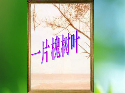 一片槐树叶PPT教学课件