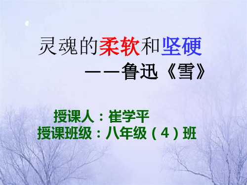 语文人教版八年级下册灵魂的柔软和坚硬 ——鲁迅《雪》