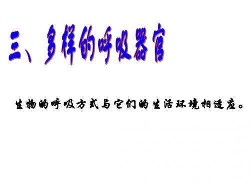 陆生脊椎动物有专门的呼吸器官