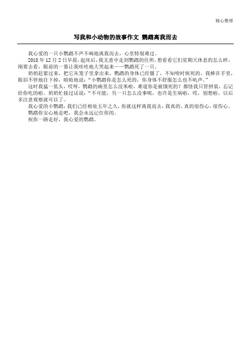 写我和小动物的故事作文 鹦鹉离我而去