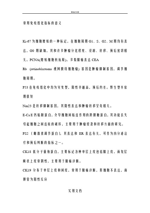 临床常用免疫组化指标 (2)