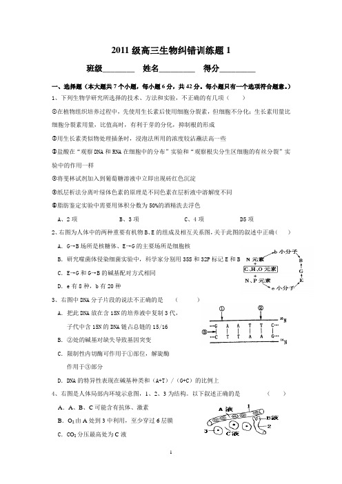 纠错训练