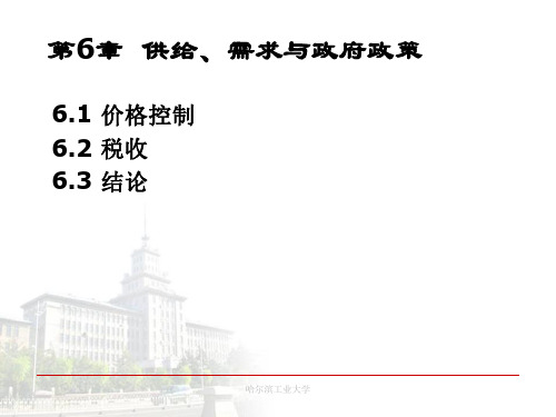 《经济学基础》教学课件 第6章 供给、需求与政府政策