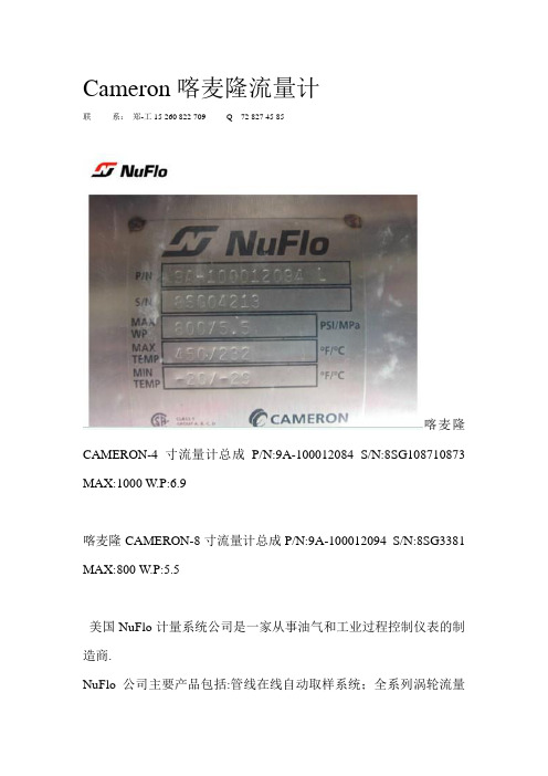 Cameron喀麦隆流量计