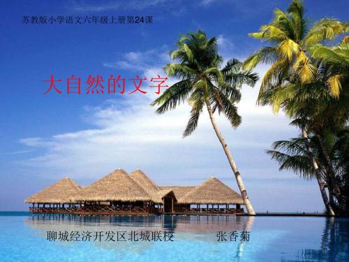 大自然的文字