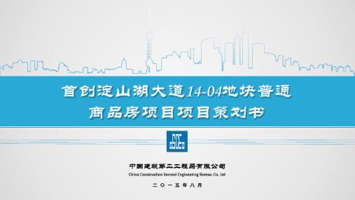 项目实施计划书汇报