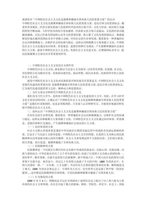 谈谈你对“中国特色社会主义文化是凝聚和激励全国各族人民的重要力量”的认识