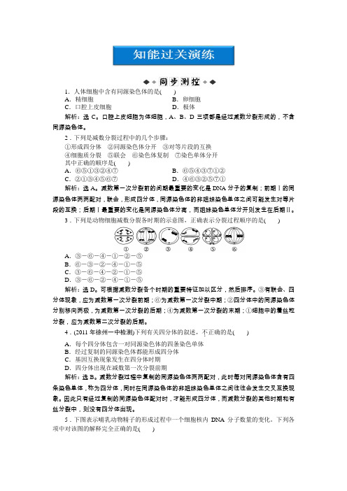 2012【优化方案】生物苏教版必修2(江苏专用)精品练第二章第一节知能过关演练