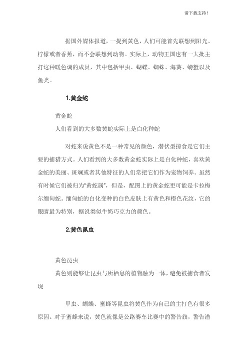 o十种奇特黄色动物