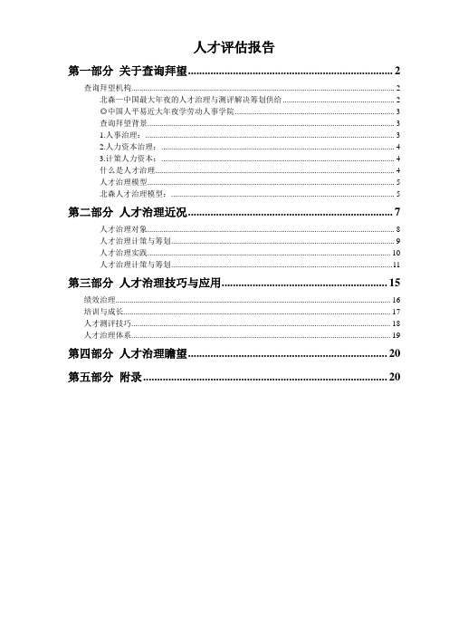 人才评估报告
