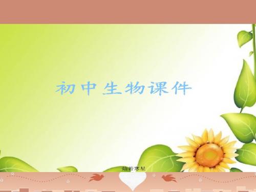 济南版生物七上无脊椎动物的主要类群