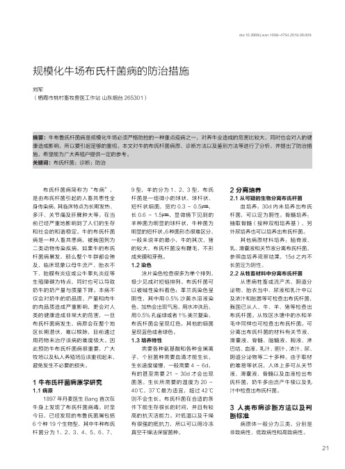 规模化牛场布氏杆菌病的防治措施