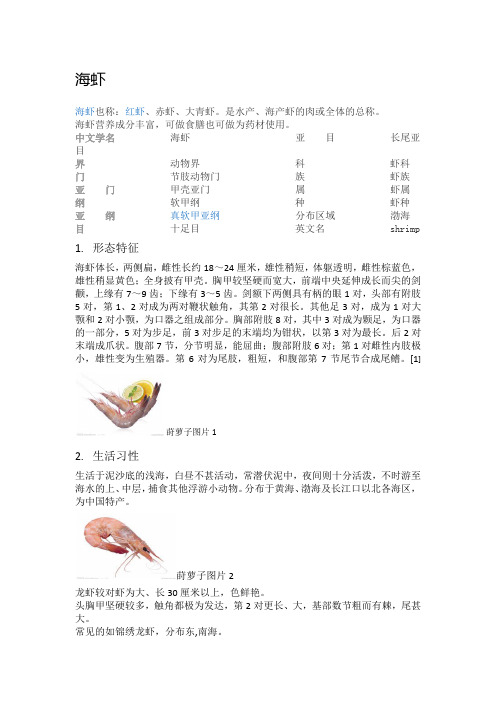 海虾