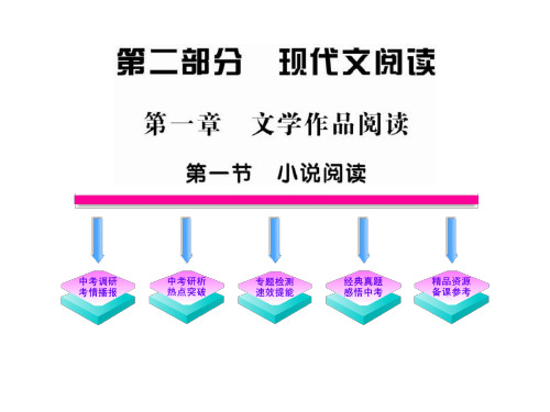 2015版初中语文新课标全程复习课件：2.1.1 小说阅读(专题突破版)