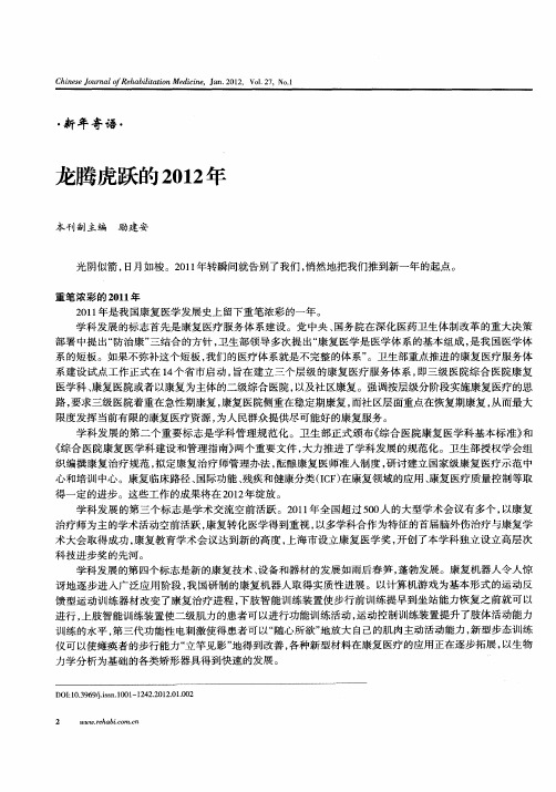 龙腾虎跃的2012年