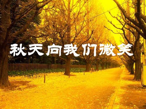 四年级语文上册第一单元秋天向我们微笑PPT课件5西师大版