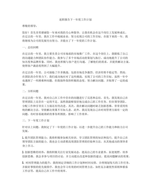 述职报告下一年度工作计划