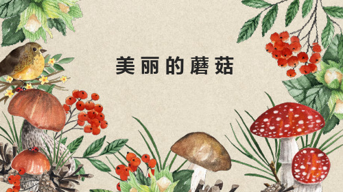 中小学生美术精品课件系列：《蘑菇》